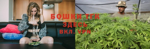 гидра Верея