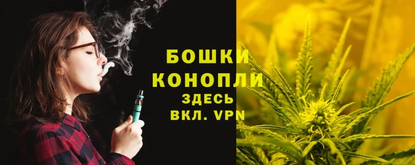 бошки Верхний Тагил