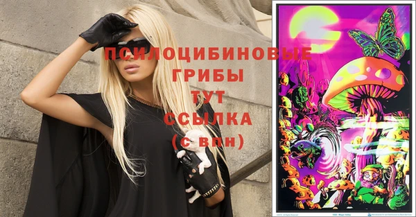 гидра Верея