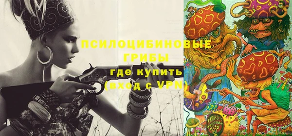 гидра Верея