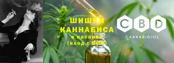 гидра Верея