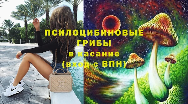 гидра Верея