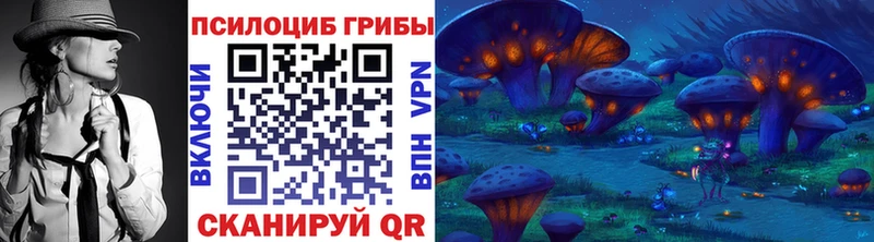 Псилоцибиновые грибы Cubensis  Великий Новгород 