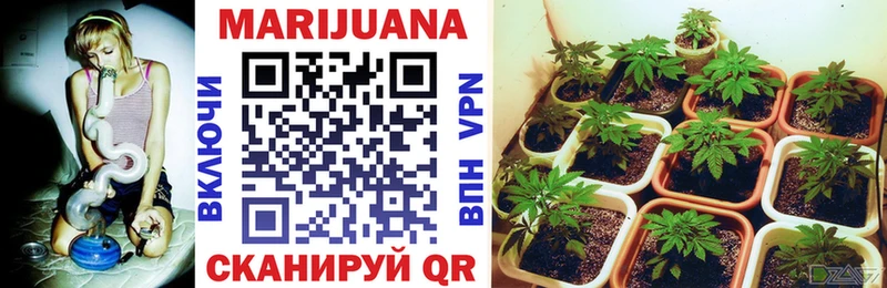 купить наркотик  Великий Новгород  Каннабис гибрид 